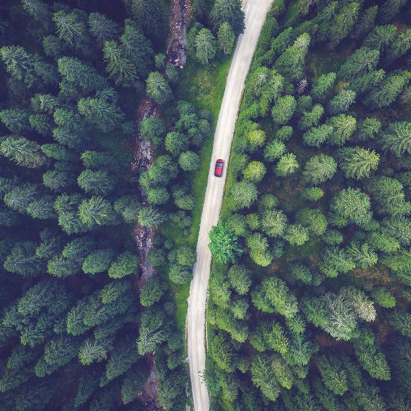 Environment Environment